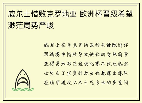 威尔士惜败克罗地亚 欧洲杯晋级希望渺茫局势严峻